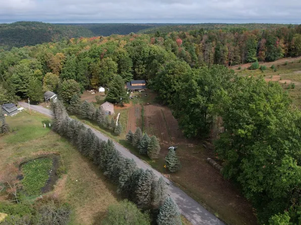 2260 Gravel Lick Rd, Strattanville, PA 16258