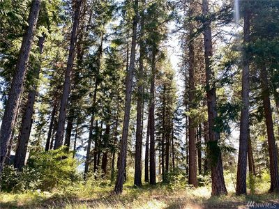 1570 Pinegrass Loop, Cle Elum, WA, 98922