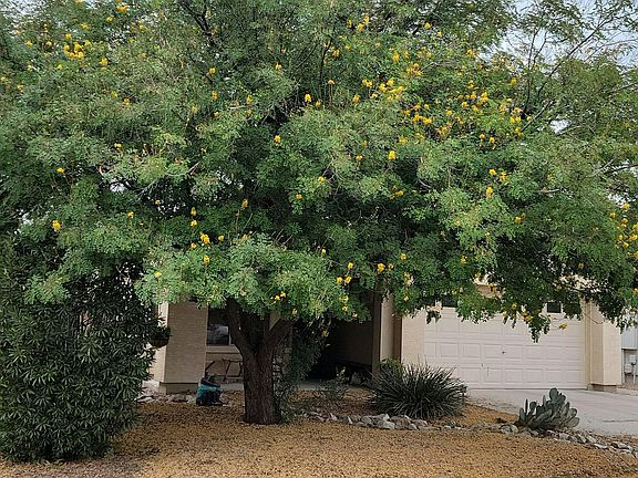 3rd image of 12616 W Honeysuckle St