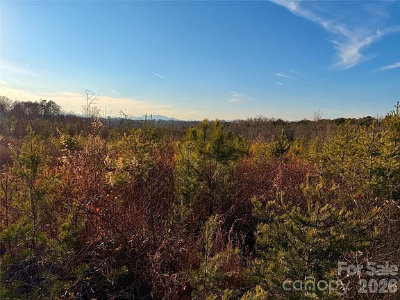 2nd image of 0 Brady Hampton Dr