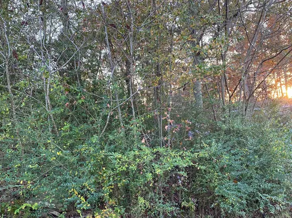 1091 County Road 1402, Cullman, AL 35058