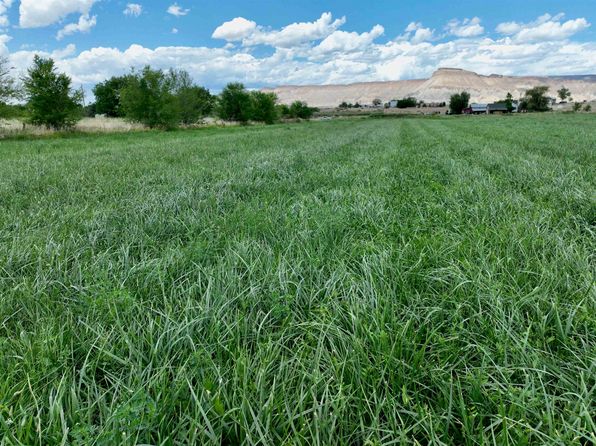 3429 D Rd, Palisade, CO 81526