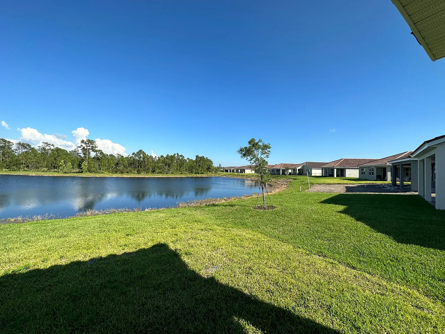 452 Daylily Blvd — Photo 3