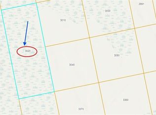 0000 OAK HILL LOT 302, OAK HILL, FL 32759