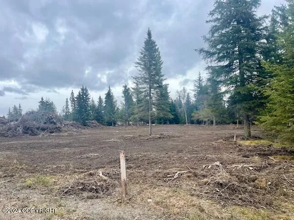 72735 Grumman Ave, Anchor Pt, AK 99556