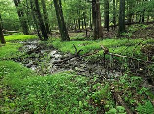 T 579 Lower Seese Hill Rd, Canadensis, PA 18325