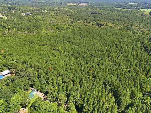 3rd image of Off Pats Road