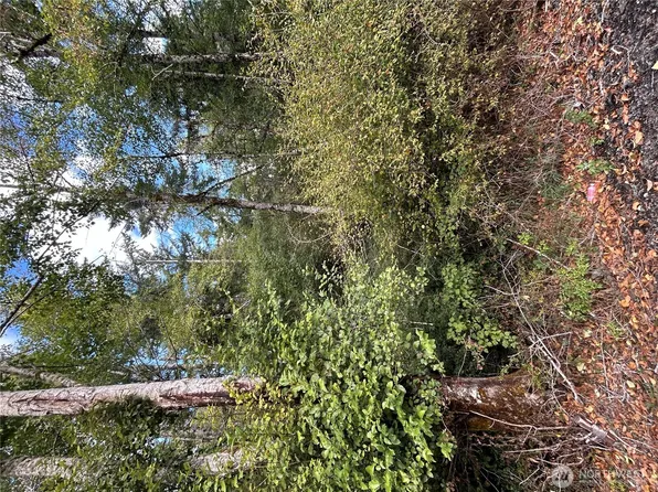 1331 E Grapeview Loop Road, Grapeview, WA 98546