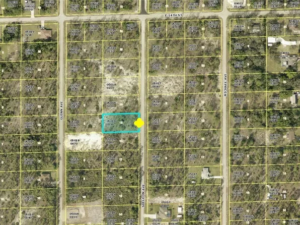 1313 Sheldon Ave, Lehigh Acres, FL 33972