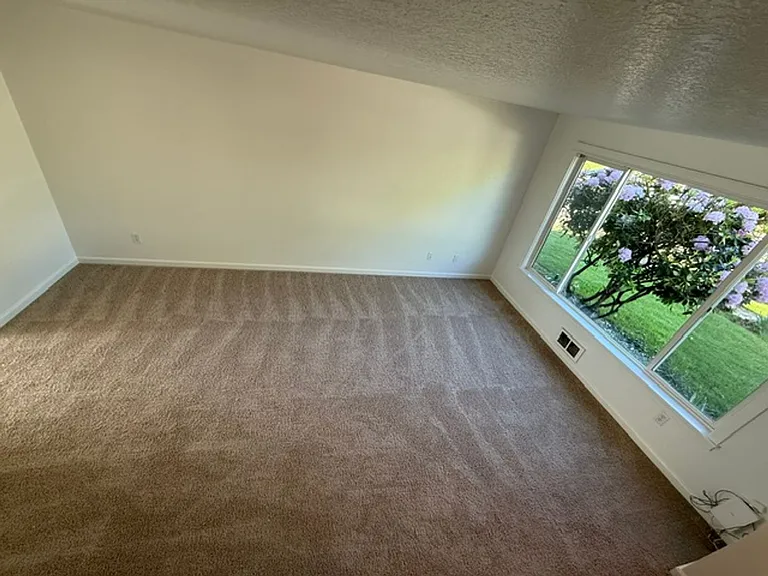 TLD184 — Photo 13