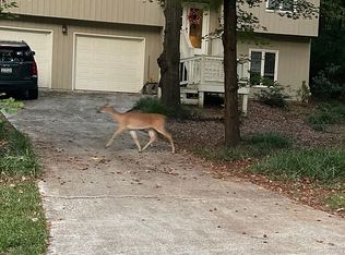 14 Woodvine Ln, Lake Wylie, SC 29710