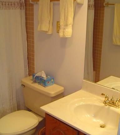 Master bathroom, off bedroom. There's also a half bath.