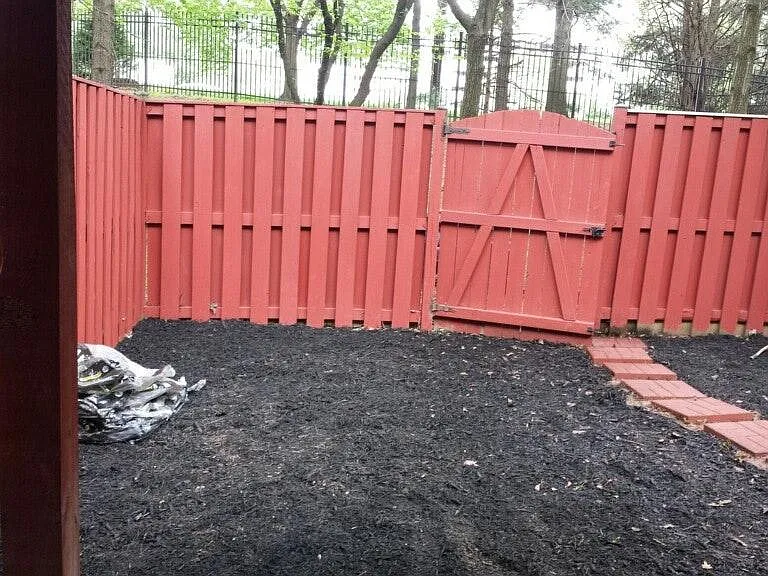cleaned backyard