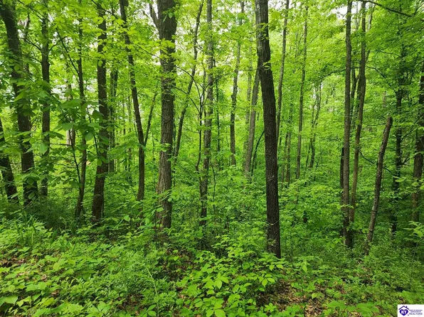 1 E G Nash Rd, Roundhill, KY 42275