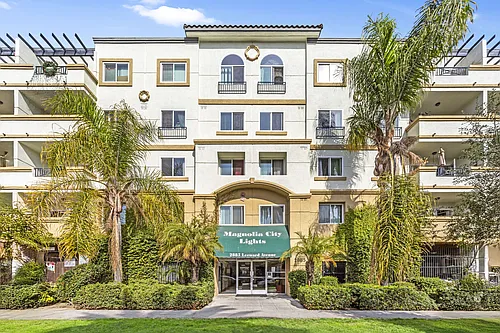 Magnolia City Lights Apartments Photo 1