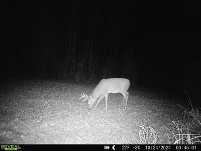 N6435 County Line Rd, Gleason, WI, 54435