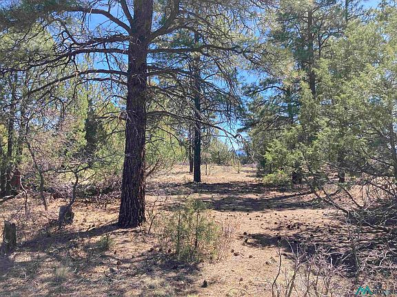 4th image of Doe Rim Loop