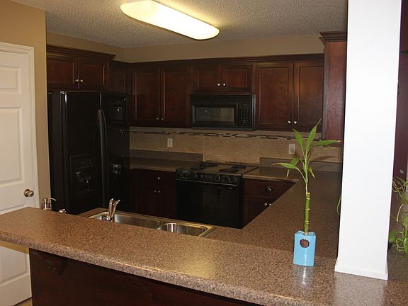 4th image of 9134 Broad Leaf Ln