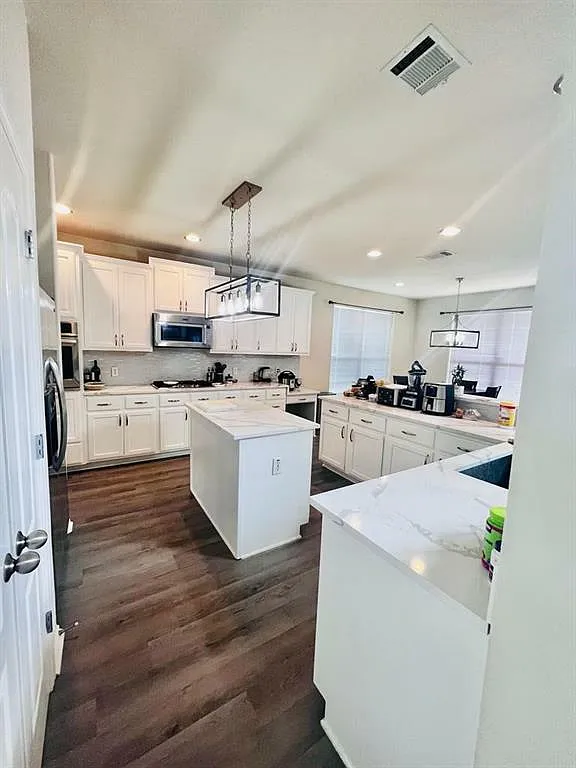 3604 Rams Horn Way, Round Rock Texas 78665 — Photo 2