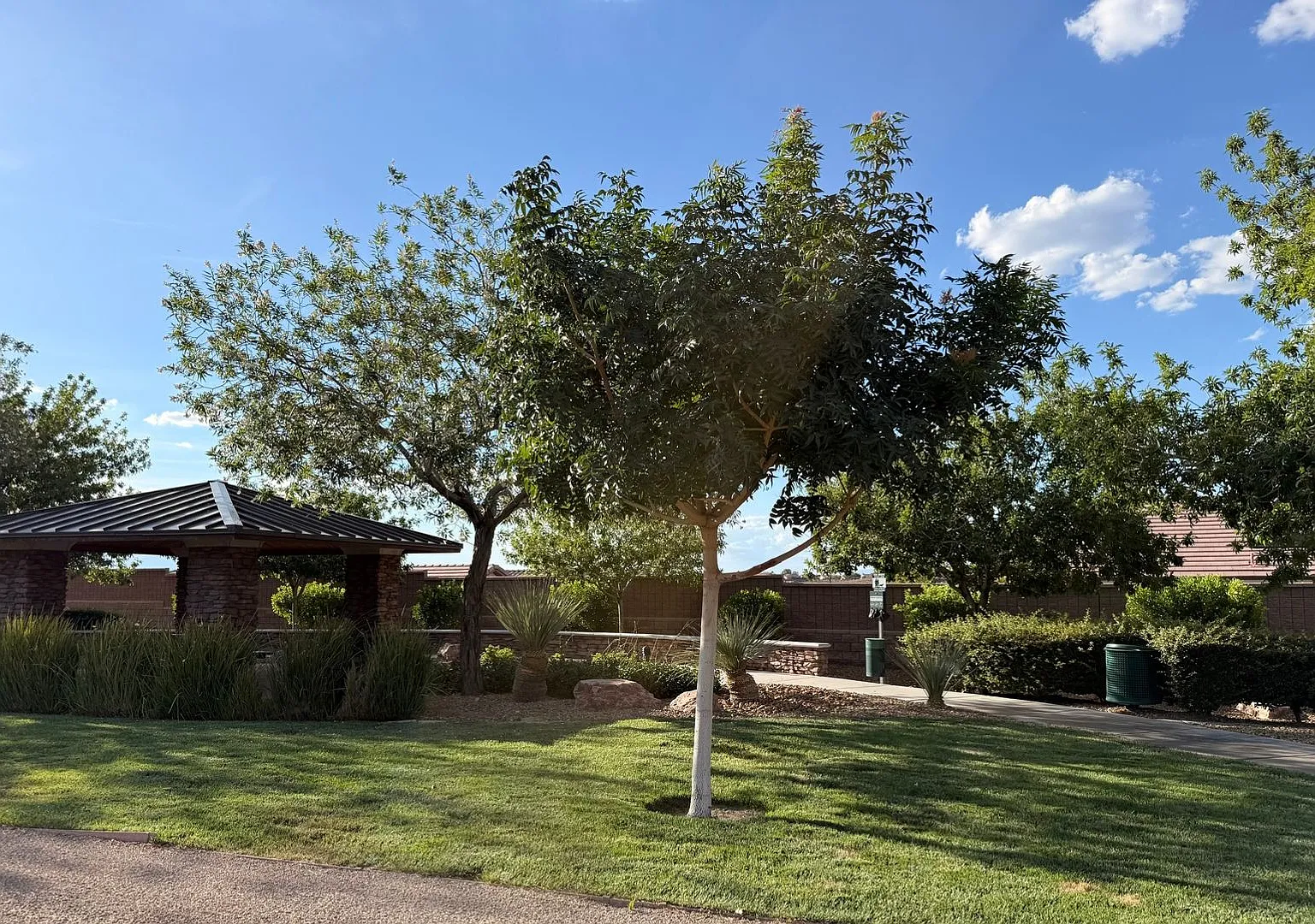 Location! Location! Anthem/Maderia Canyon 3BR House in Las Vegas — Photo 1
