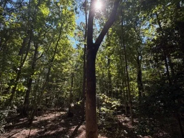 0 Hancock Mill Rd, Mineral, VA 23117