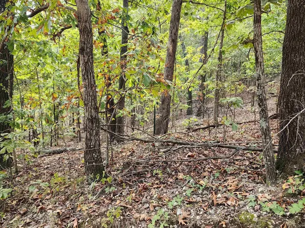 6901 Mc #6061, Flippin, AR 72634