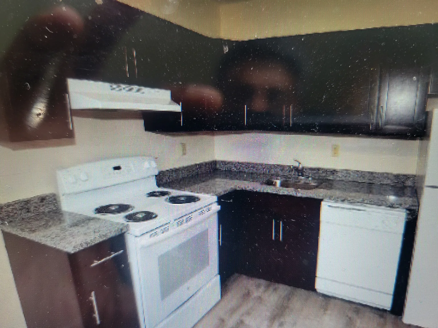 1 bed, 900 sqft, $1,950 — Photo 3