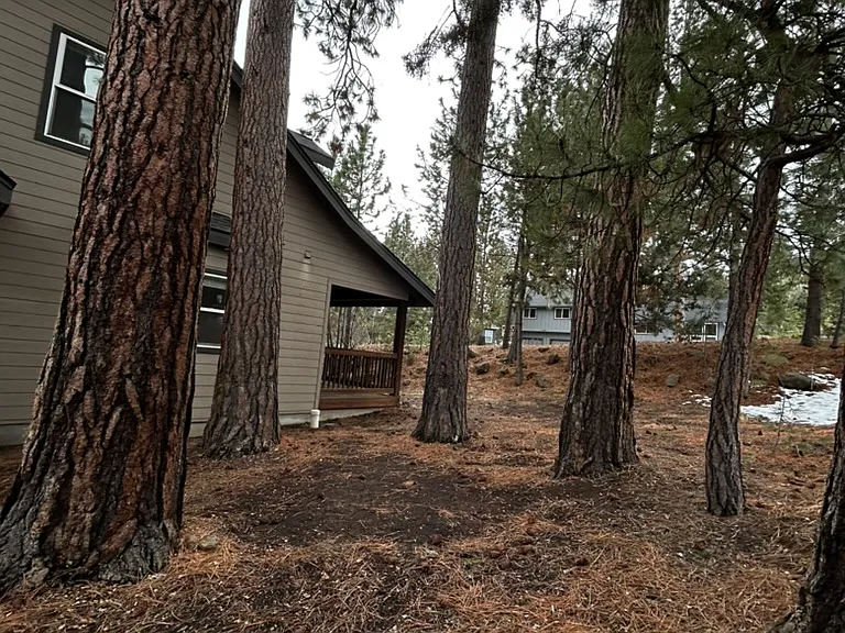 Hammock Area