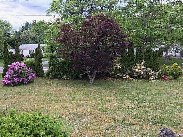2nd image of 144 Nottingham Dr