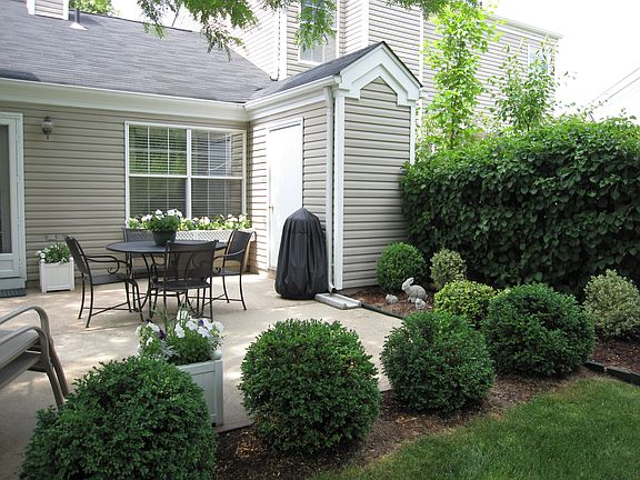 back yard