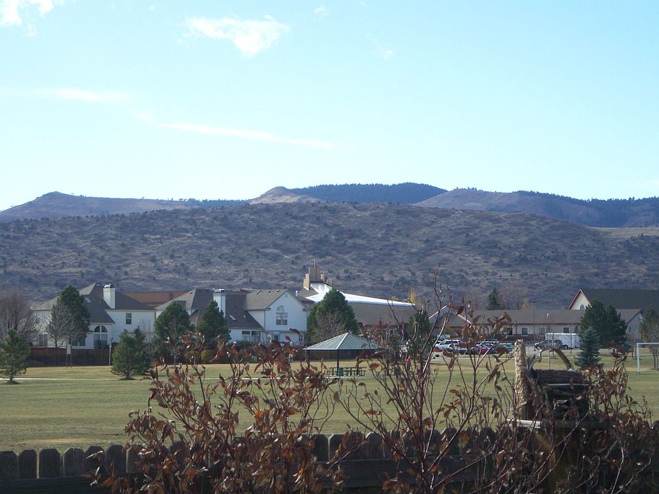 View from Back Yard