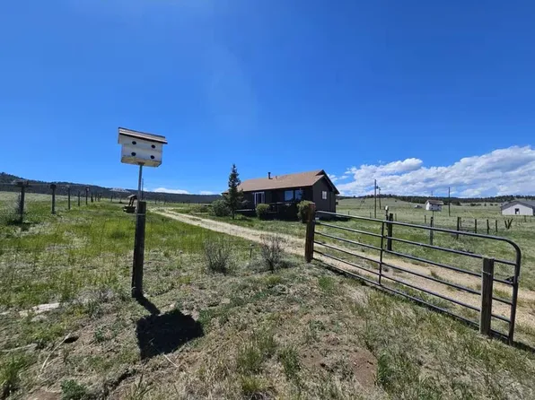 145 S Deer Mountain Rd, Florissant, CO 80816