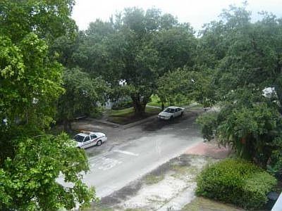 5th image of 12105 NE 11th Pl APT 304