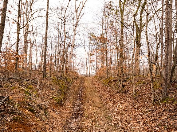 42nd image of this home