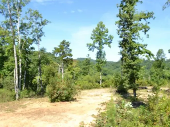 Rock Springs Rd, Celina, TN 38551