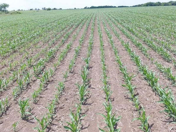 337th St, Jamesport, MO 64648