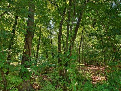 Choctaw Trl, New Buffalo, MI, 49117