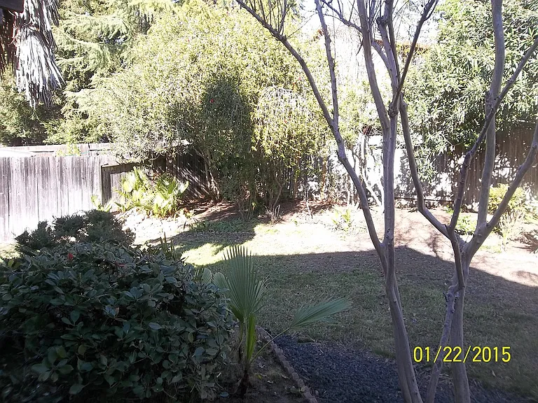 8124 Pinefield Dr — Photo 17
