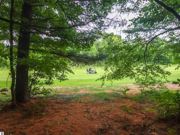 35 Trailside Cir S Unit 0, Thompsonville, MI 49683