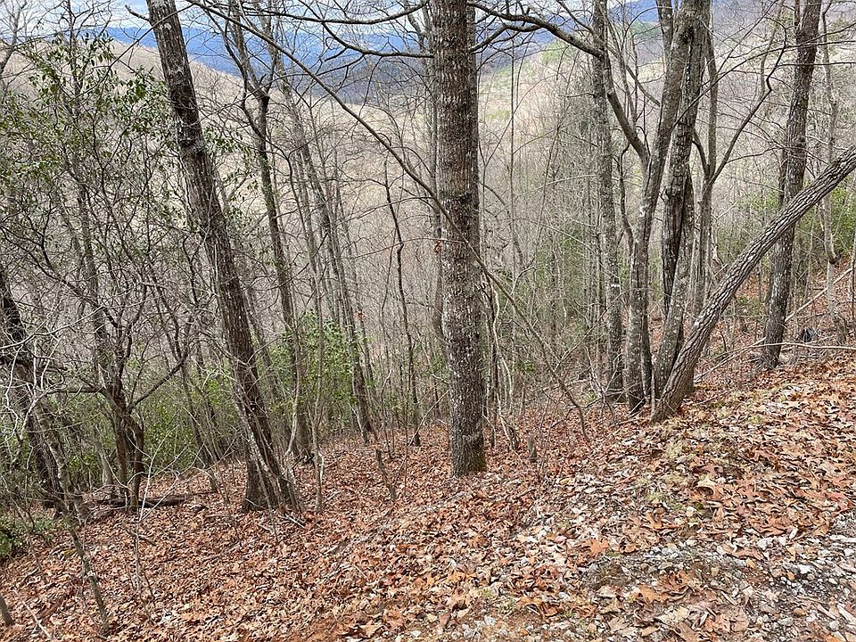 2nd image of 0 Hummingbird Hill Rd