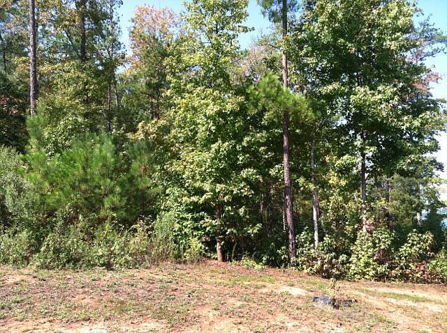 2nd image of 133 Cherokee Shores Dr