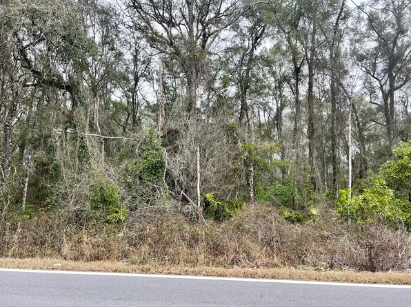 311 NE 316th Ave, Old Town, FL 32680