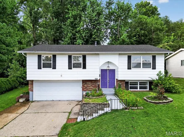 5 Gray Brooke Ln, Florissant, MO 63031