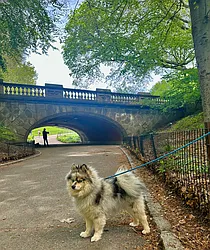 Rented by Nest Seekers International