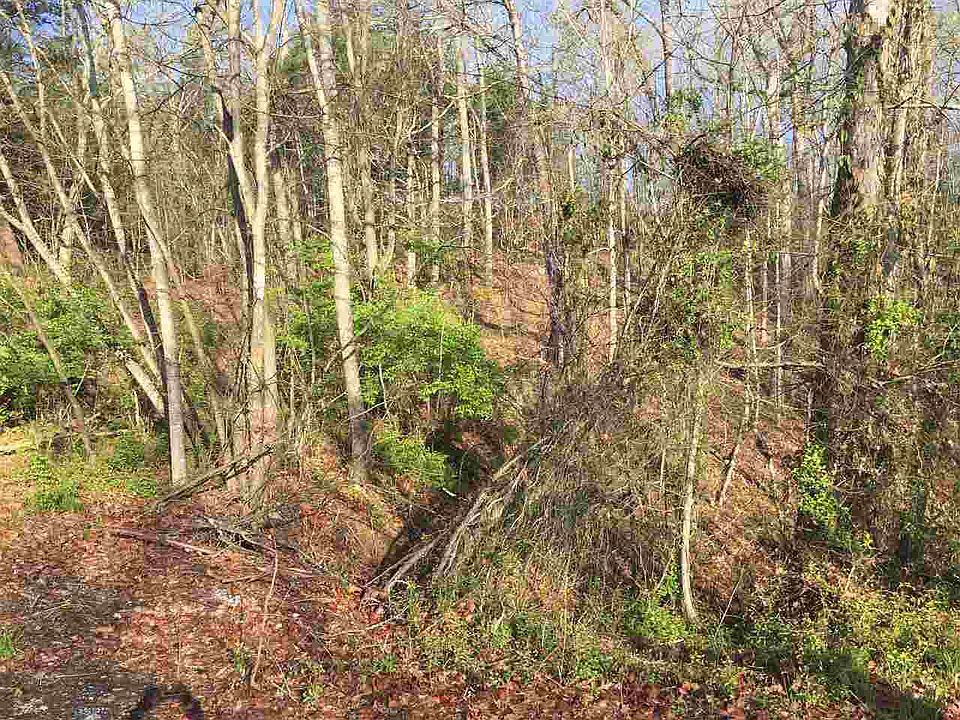 1st image of Chestnut Hill Rd