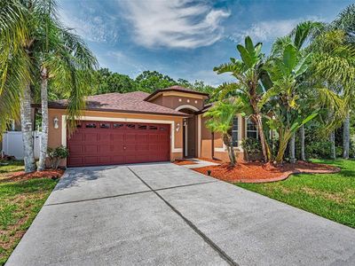 15762 CEDAR ELM TERRACE, Land O Lakes, FL, 34638