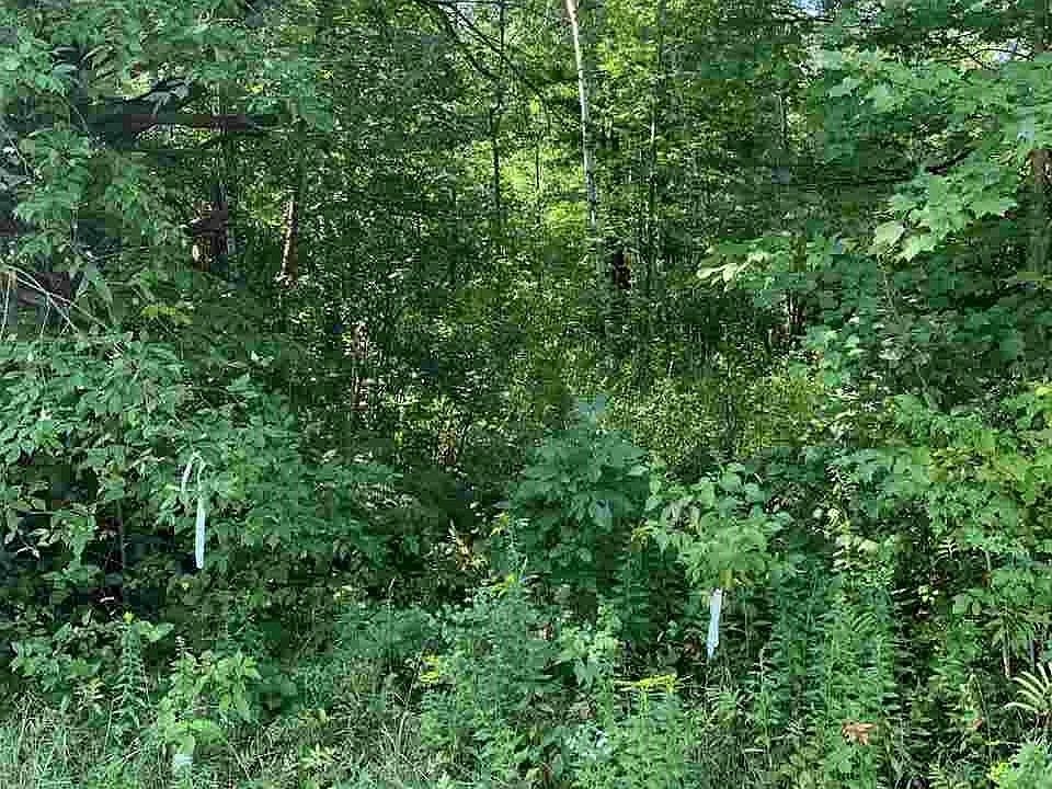1st image of Cr 44