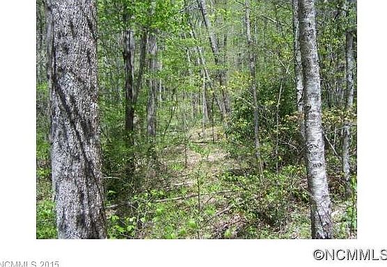 3rd image of Lot 38 Cabin Creek Trl #38