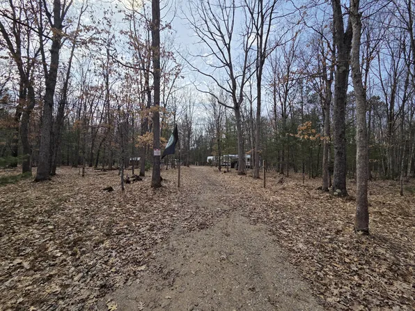 6 Mile Rd, Irons, MI 49644