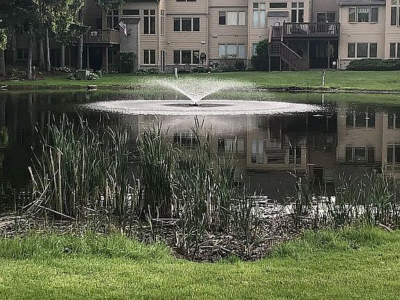 Golf Course Pond View 